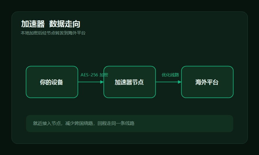 加速器数据走向示意，本地设备加密后经加速器节点转发到海外平台